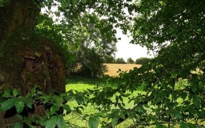 Part’âge NordMans (61)