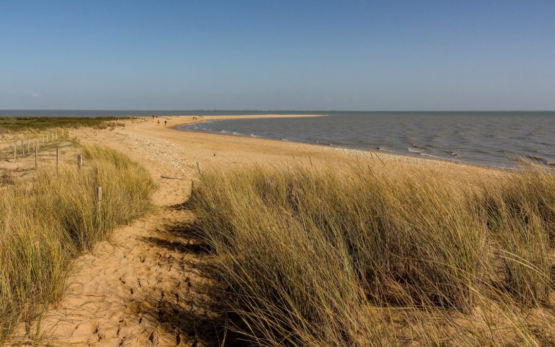 Groupe d’échange autour de la pratique professionnelle des psychologues en gérontologie