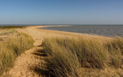 Groupe d’échange autour de la pratique professionnelle des psychologues en gérontologie